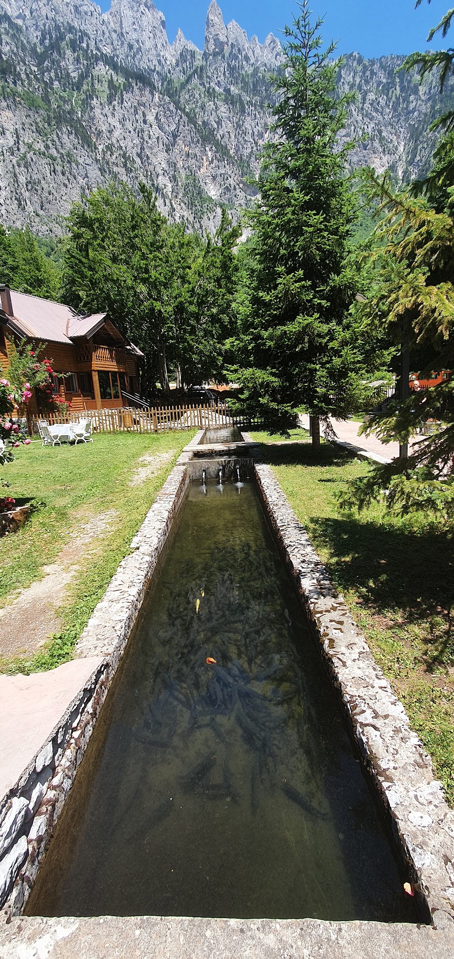 Hotel Rilindja 4