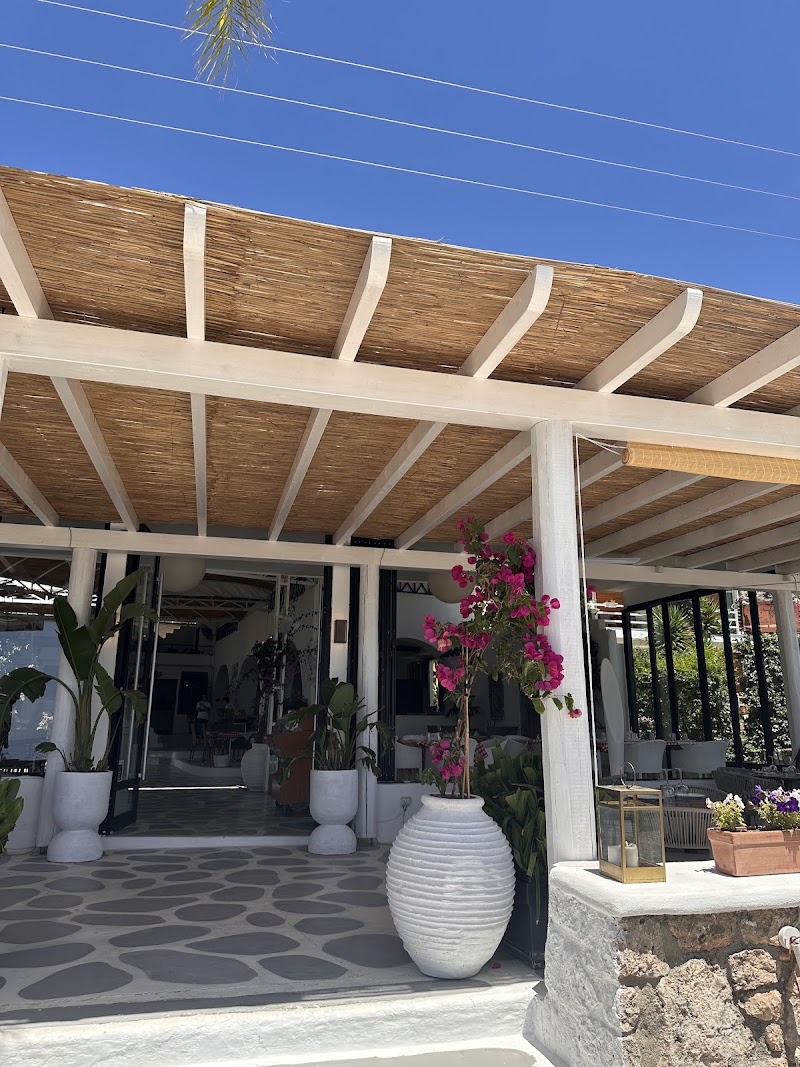 Aloni Restaurant