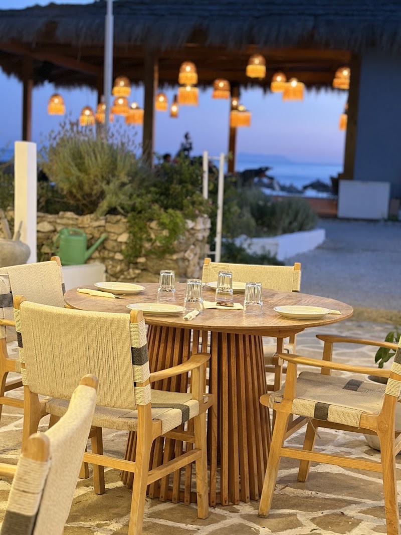 The Jester's Taverna