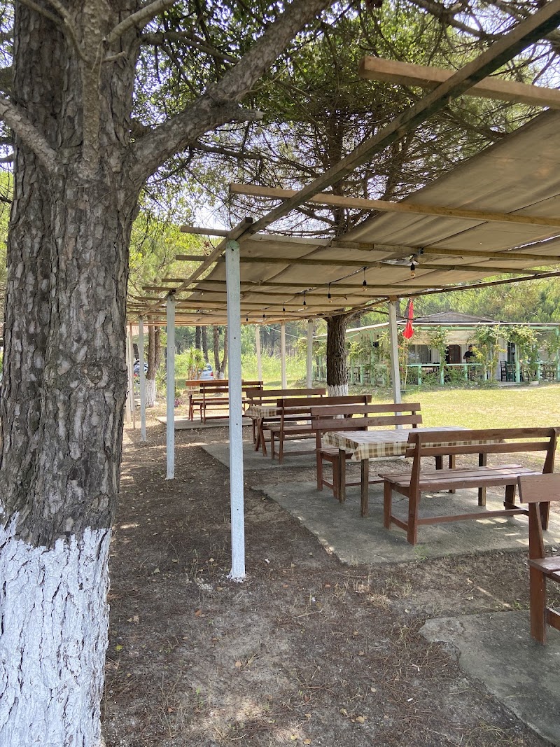 Bar-Restorant Te Guri